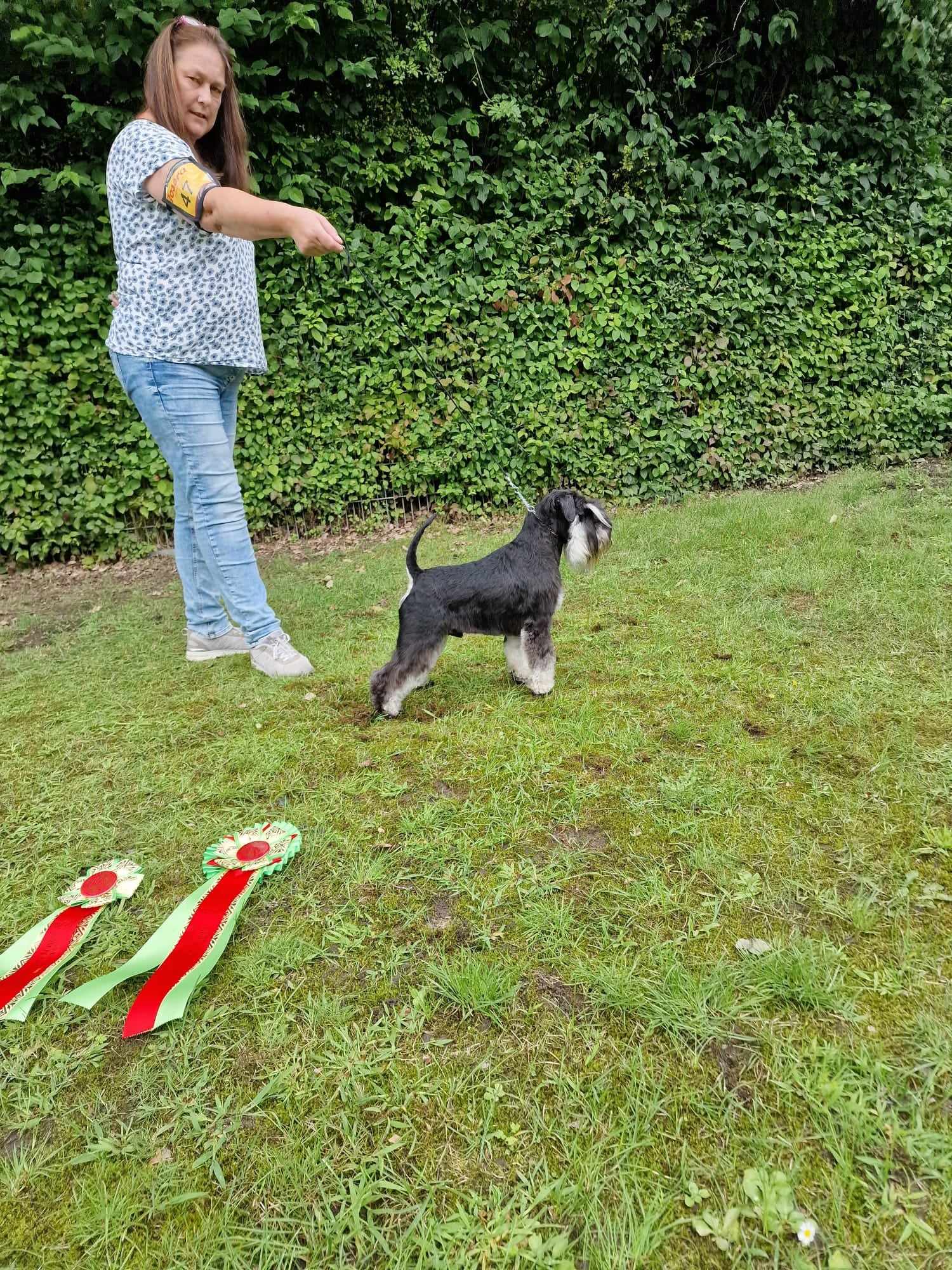 365779563_262733859864481_2545311566199750640_n 365779563_262733859864481_2545311566199750640_n