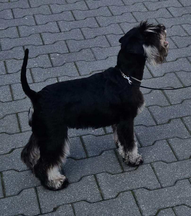 420924773_25101554489458578_4589125186966391006_n