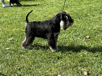 19605e5d-5883-43fc-8a7e-afffcf697e62