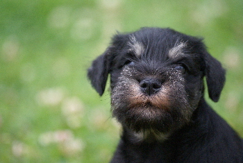 DSC01284