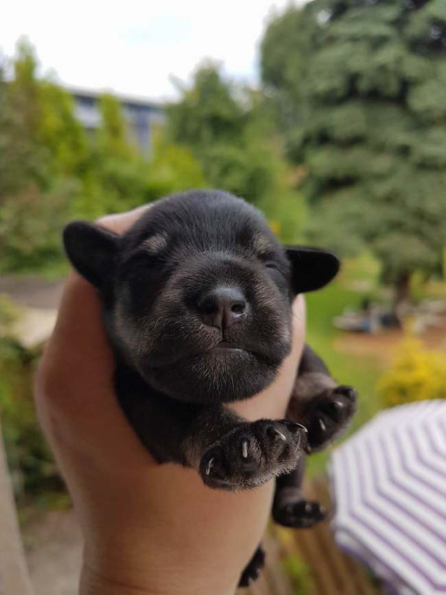 wir wachsen und gedeihen