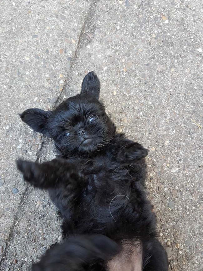 Ich knuddel trotzdem