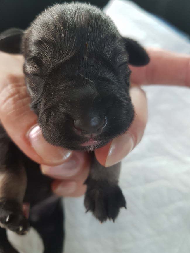 gerade neu auf der Welt