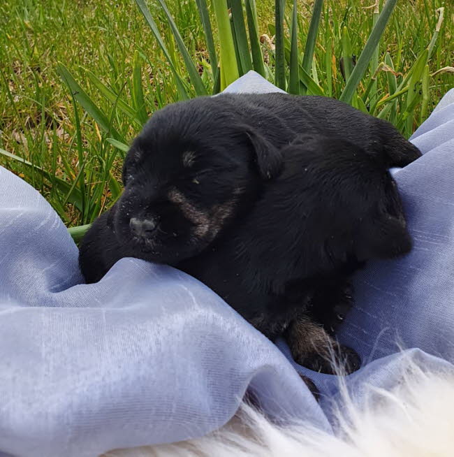 278365682_713494873125134_5852888150409351637_n