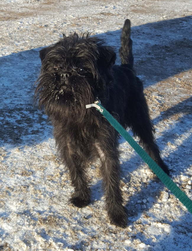 29339422_1900919273265088_5948786367910641664_o