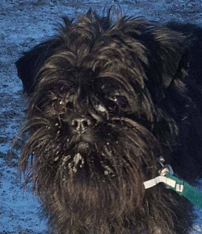 29339886_1900915536598795_2506936796806381568_n