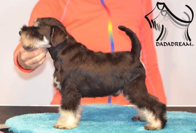 294319051_1087220541899378_866789762383829204_n