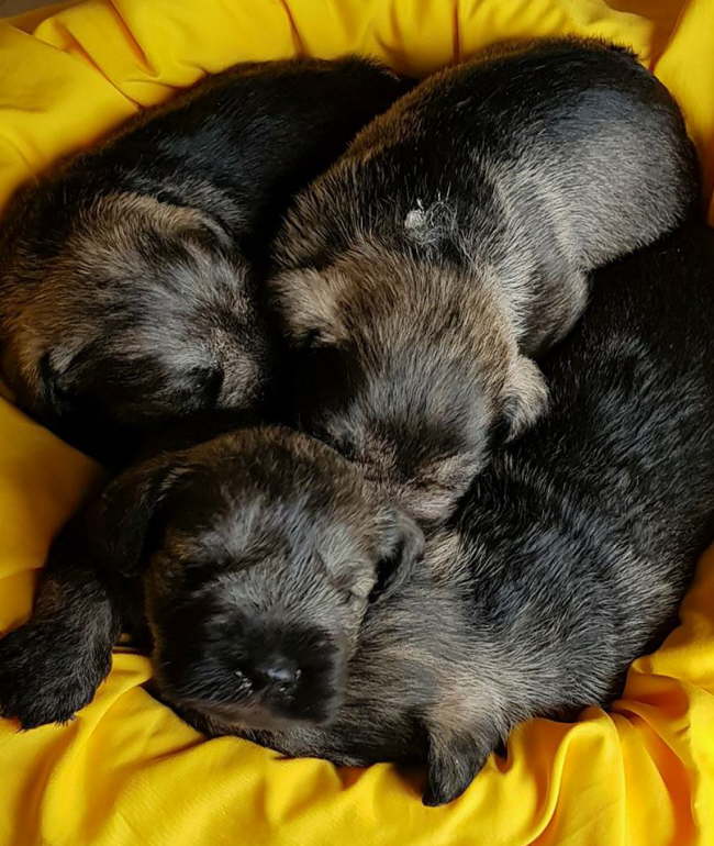 29919994_1815708648506090_1577362682_n