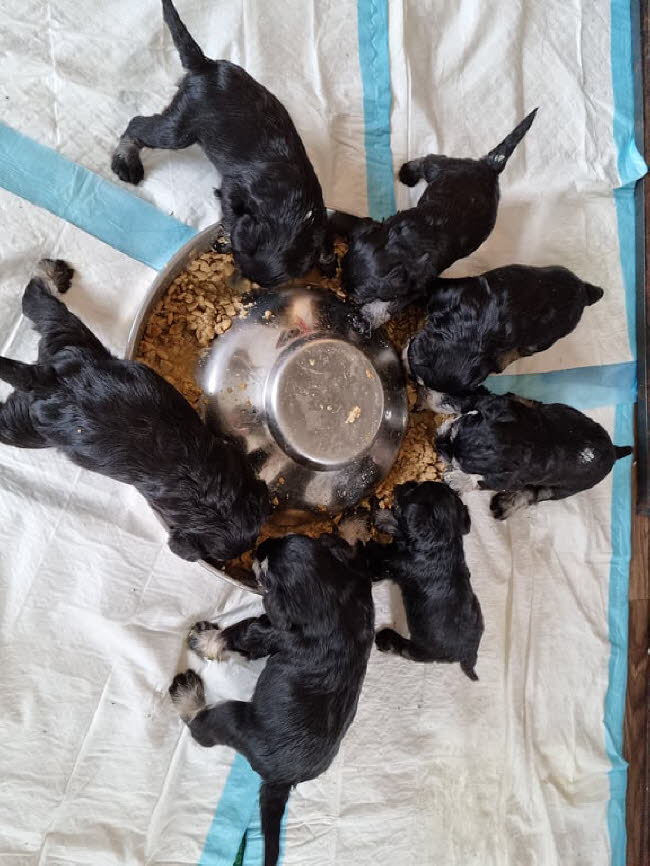 324633665_3467963603481340_5821984448395486878_n