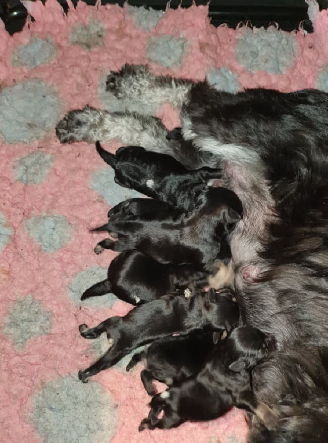 324717926_580882753368854_2766368611235099638_n