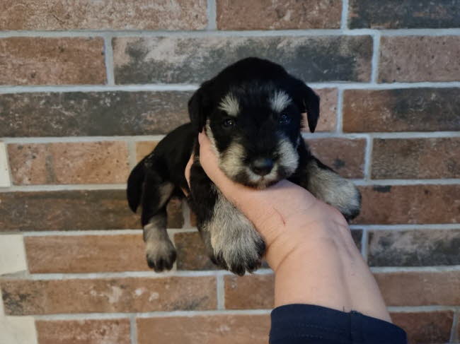 325033188_2772559326210852_4354931263190065635_n