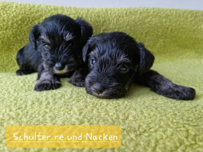 325063010_914927046525102_7789667881033868608_n