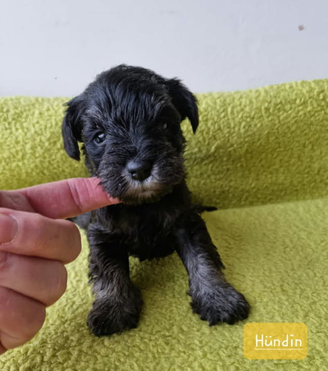 325320939_1549176658919091_1280158421831719137_n