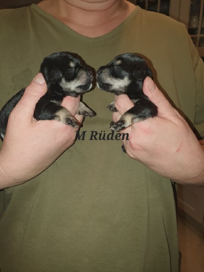 325354709_755915285690056_6490577368610496696_n