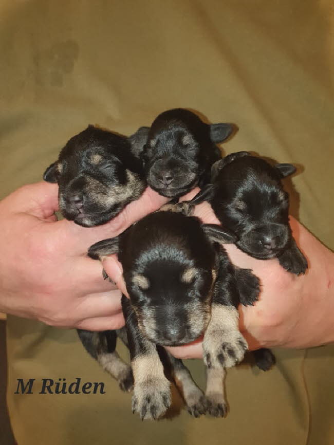 325377252_717520079990255_1976765961006201344_n