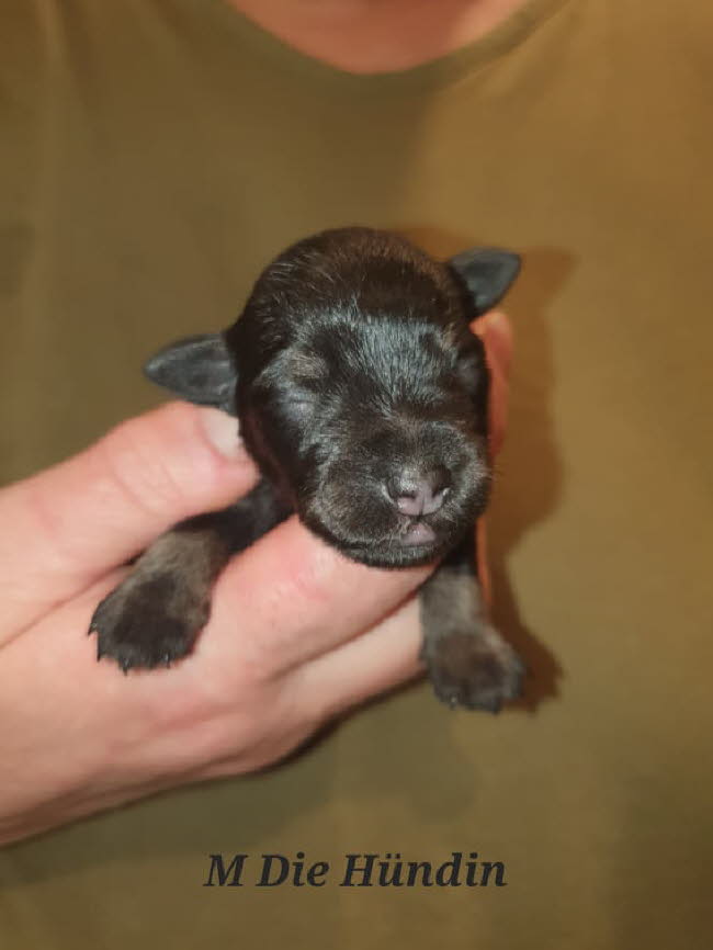 325427606_1221080181818000_5201692098314349487_n