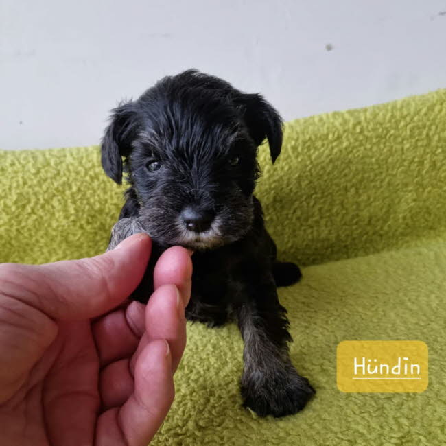 325434725_596027165192590_6414783235166041767_n