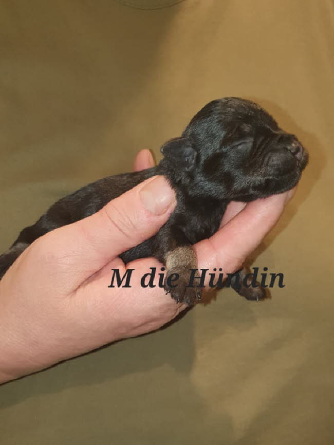 325471100_520671409897447_787316518957078010_n