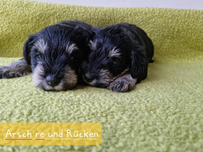 325605946_1874127529621389_674196914588876089_n