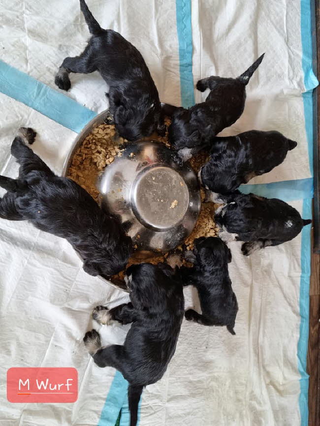 326218451_540834064724123_1874026277314970516_n