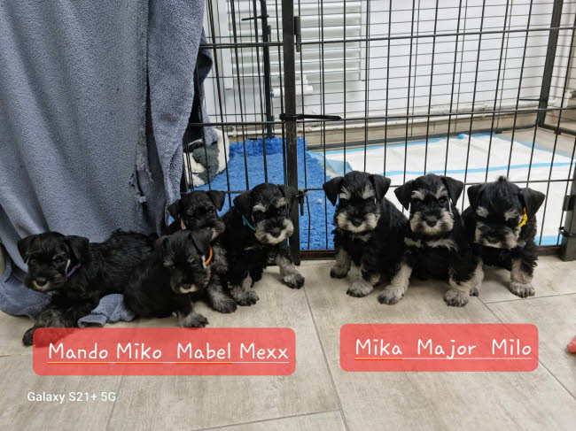 331920252_1185238605496018_5858838098708449726_n