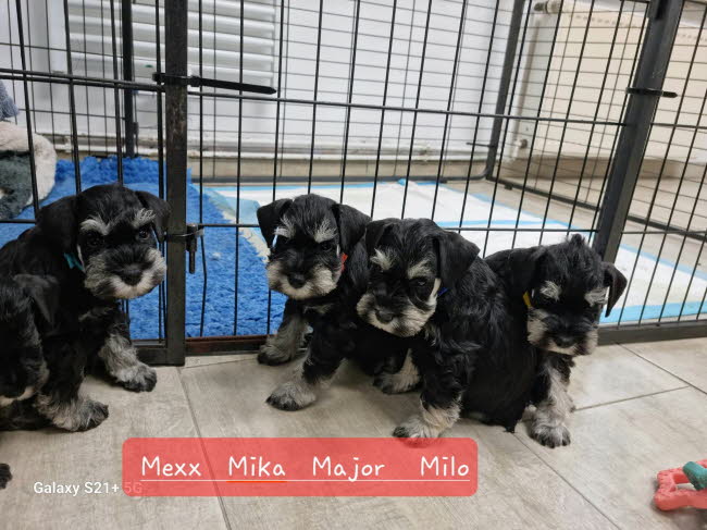 331930913_1212853219607476_6566371930218405250_n