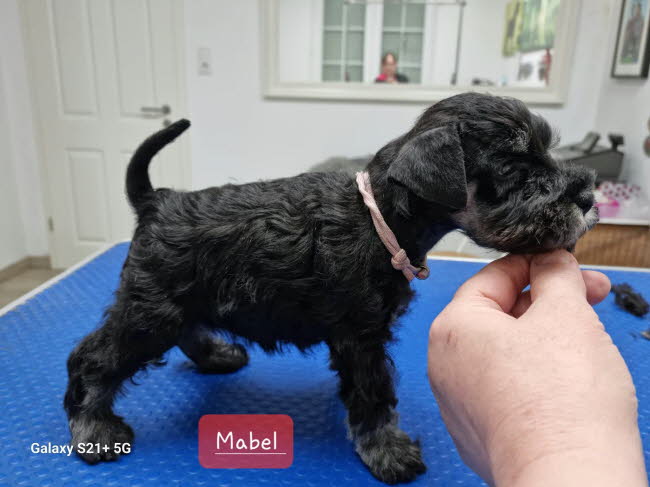 331956234_1001666674130034_3622364765692118304_n