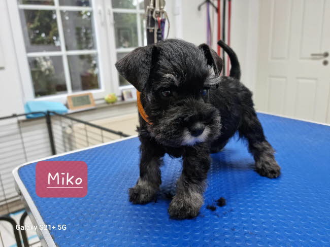 331964625_893729758509694_7407039083246096612_n