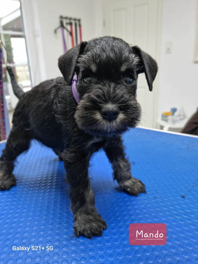 331982246_872602300698790_4407184227709591926_n