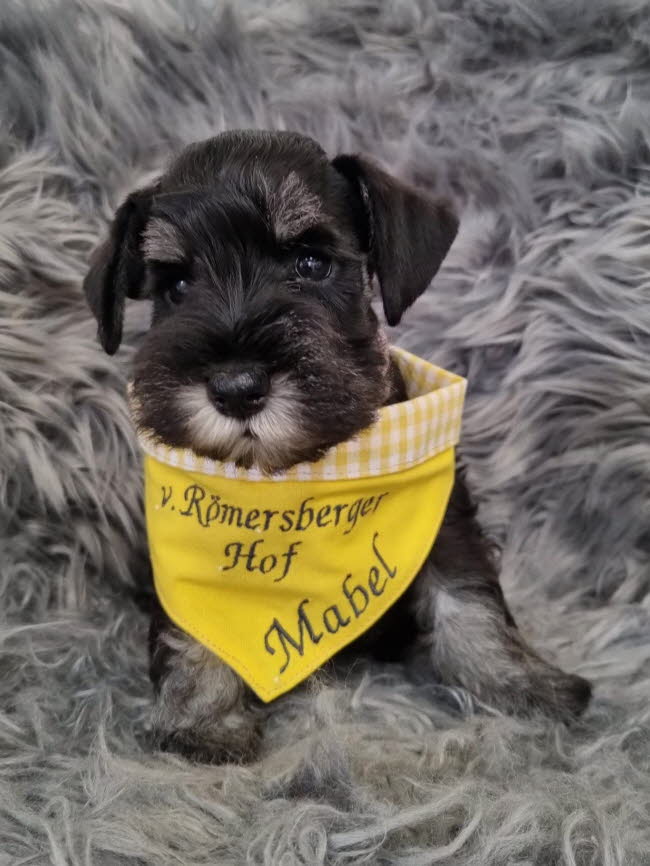 334235440_200902199258033_215170564296823630_n