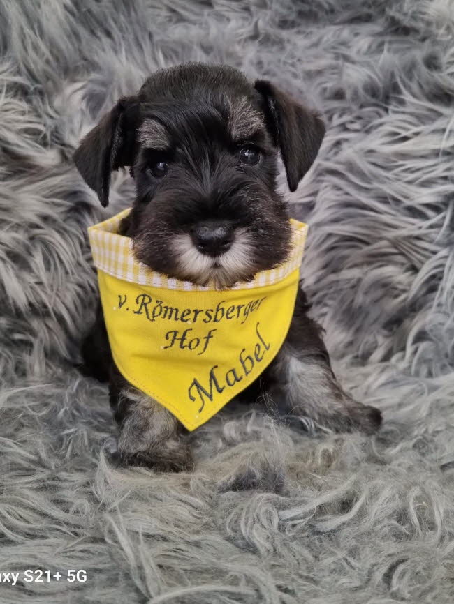 334268474_6263454837021187_1107051190972362988_n