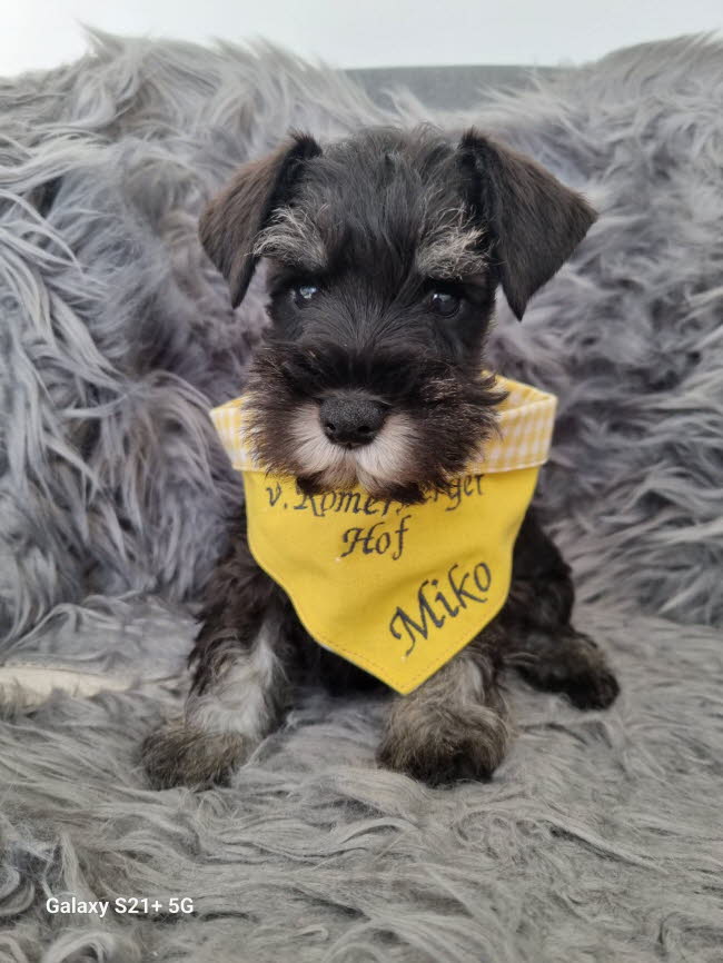 334923773_237827515256260_4169603169831075789_n