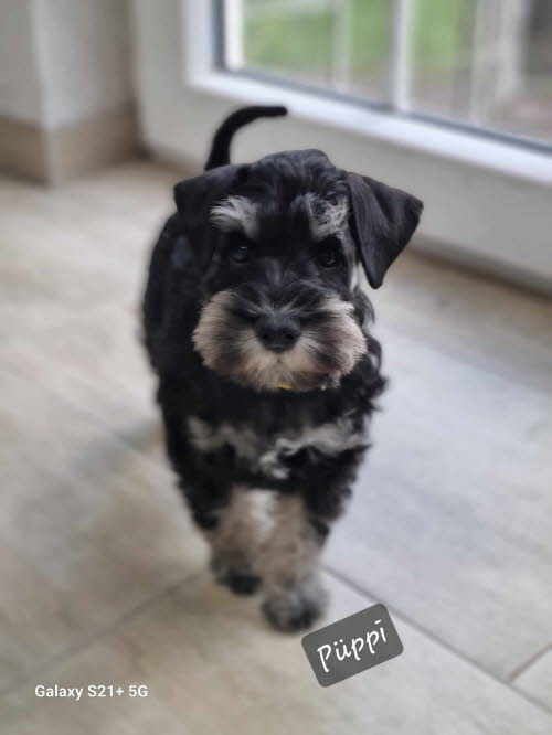 429328480_274218935711376_6933144480231654323_n