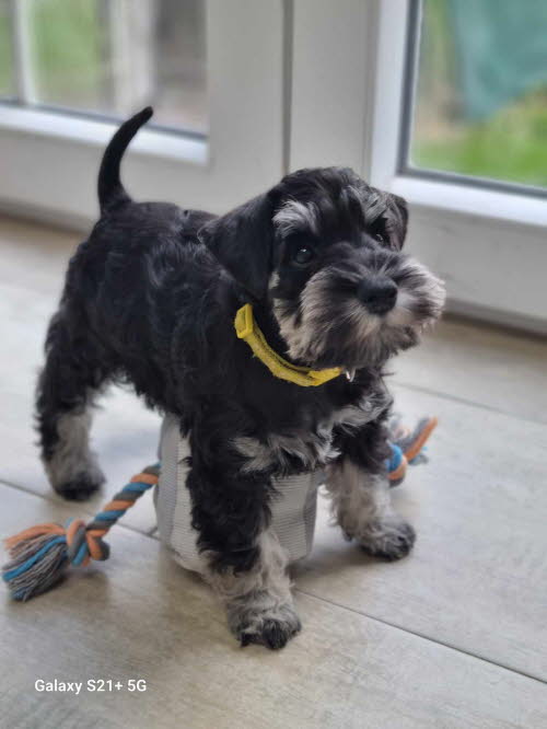 429487253_1438909966735438_9082261959406827720_n