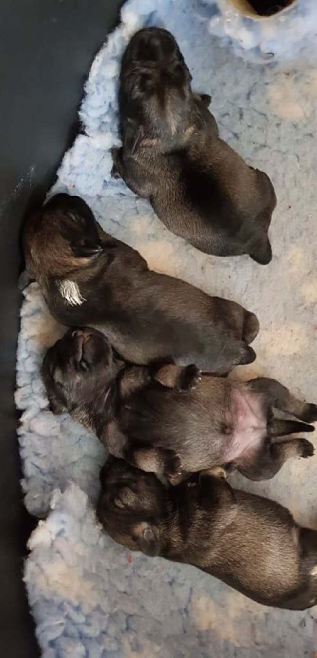 51603083_815703245442846_8015887881899868160_n