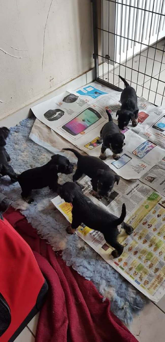 51604159_1198375943670759_4479804022491971584_n