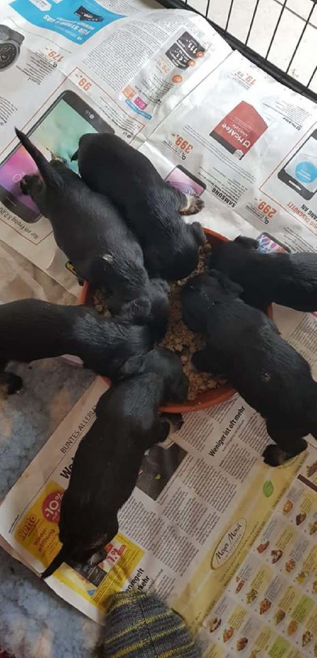 51734010_335611567296333_4310603502398210048_n