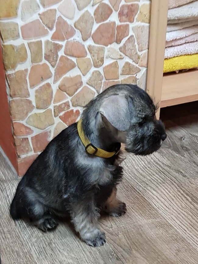 55788358_263491734538251_3419827860733427712_n