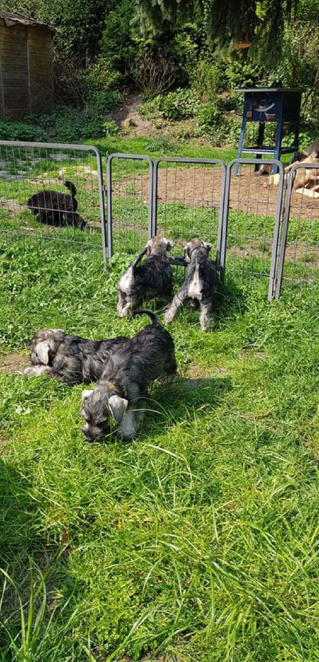 56632023_369411190328060_352731997434544128_n