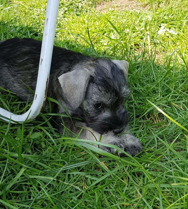 56652915_2119130744861324_5693043961904496640_n