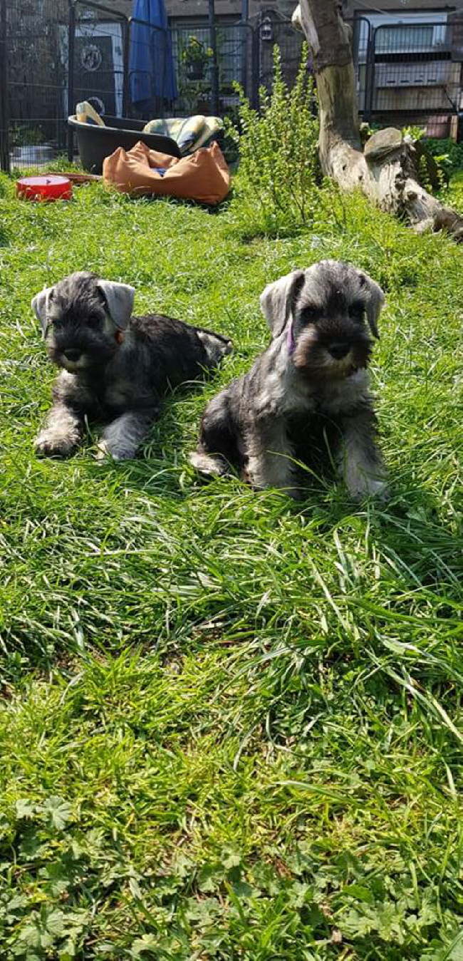 56716124_812966772402711_798840672692994048_n