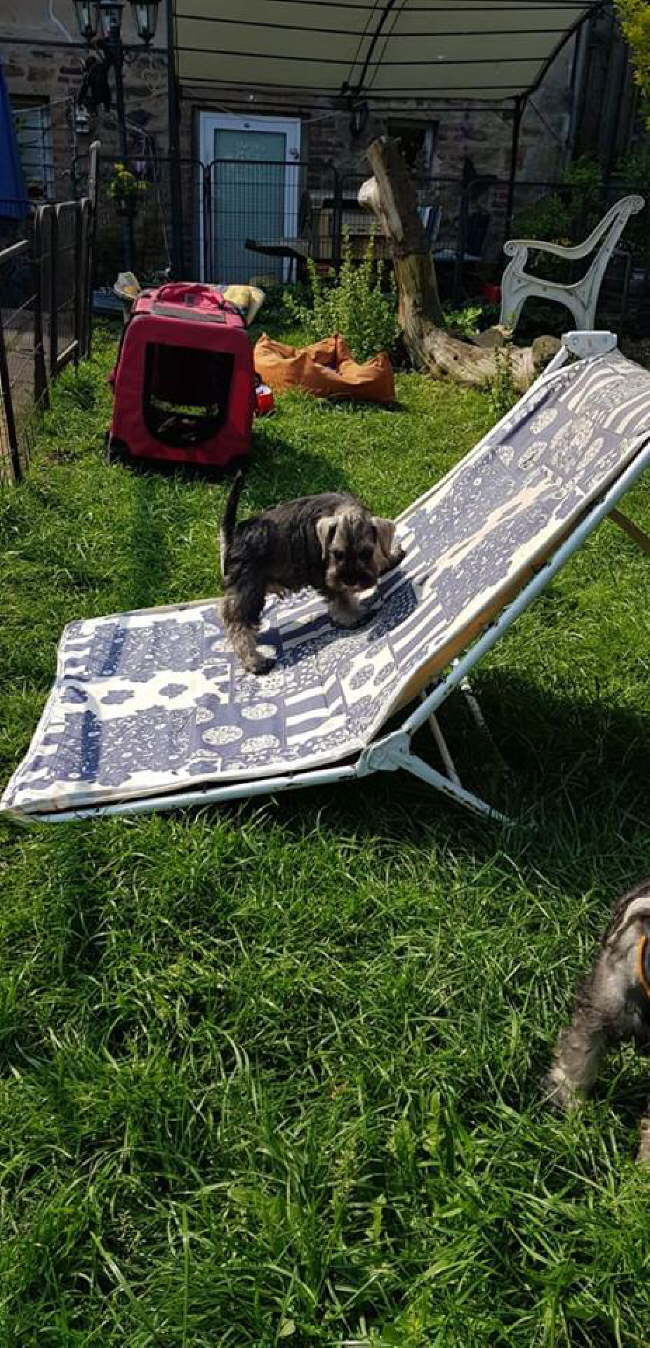 56775774_1115696478611213_5162065178098925568_n