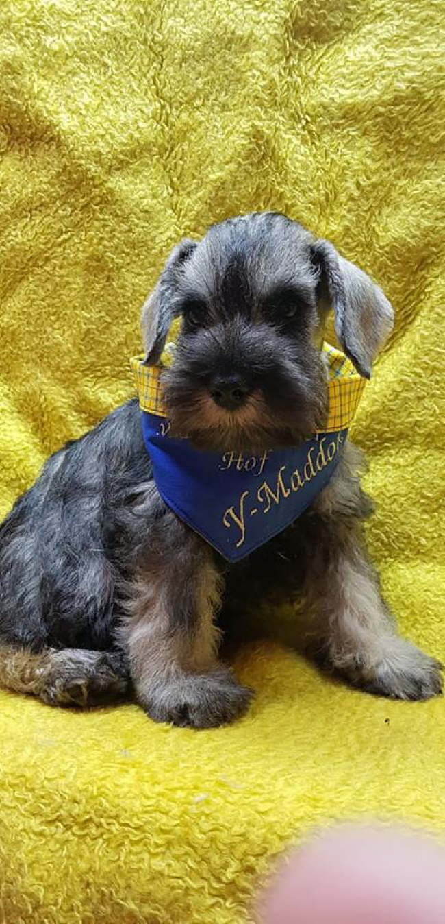 56847968_656105584843440_4790320563035832320_n