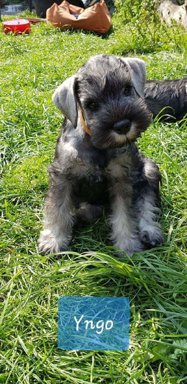 56879344_2270246332995529_2782578112712409088_n