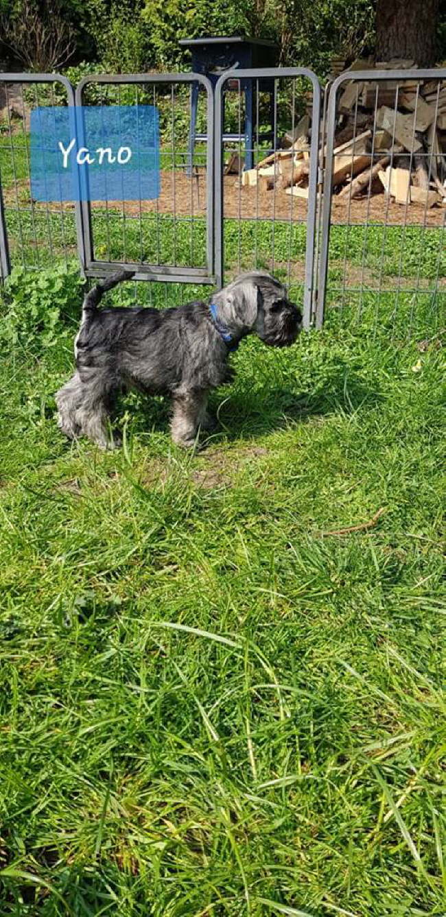 56985474_320017005378082_6852573892171530240_n