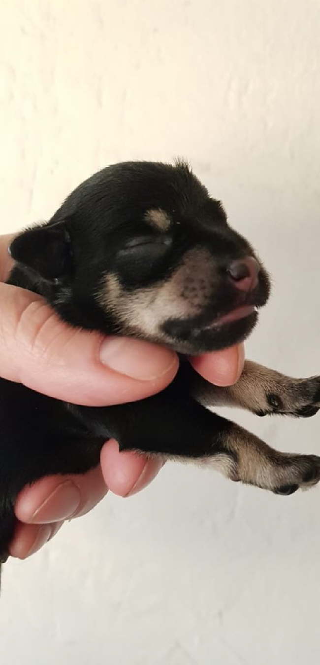 84464761_137889627353954_792308375328129024_n