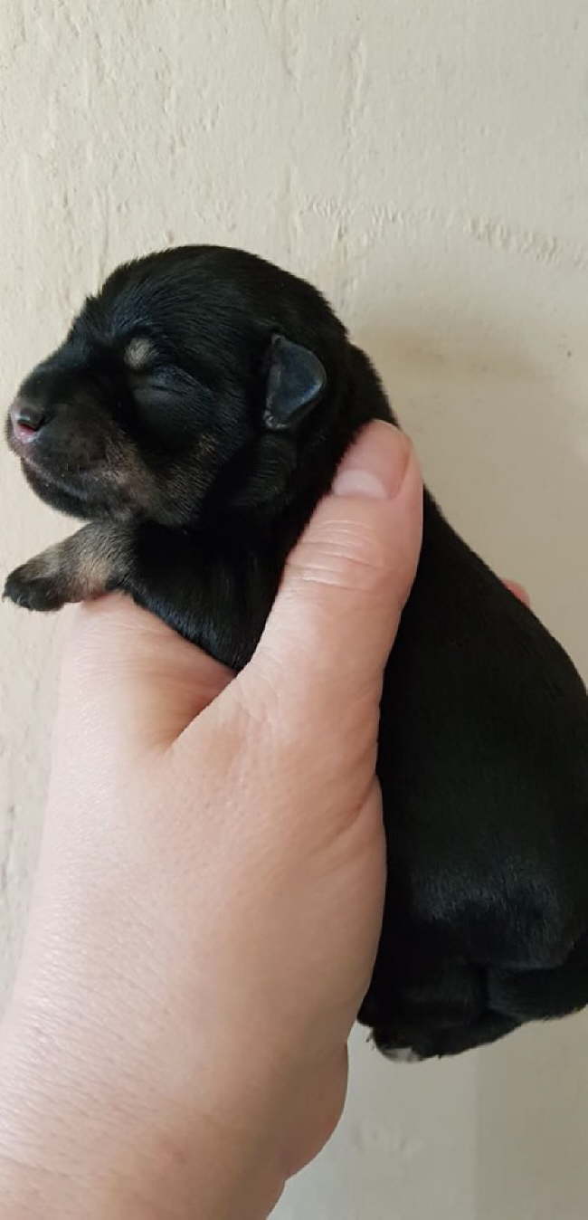 85057211_2772779576283386_4783688699739111424_n (1)