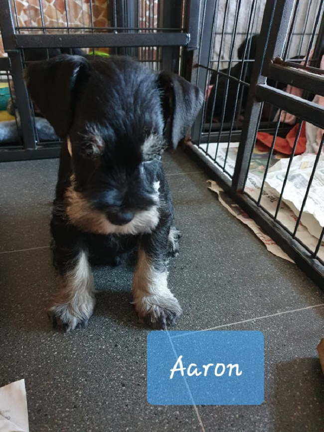 90621638_685564138847437_2000634300923379712_n