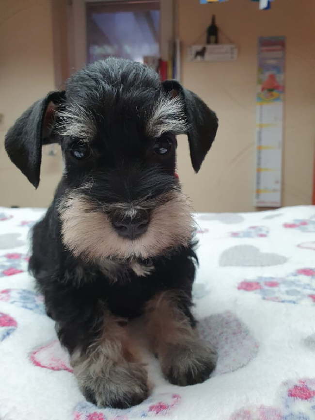 90722959_199740484794067_3712365981708845056_n