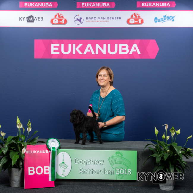 BEST_OF_BREED_164_LR_ROTTERDAM_2018_KYNOWEB_KY3_2284_20180908_09_09_33